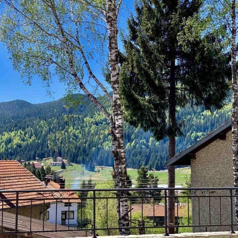 Лятна гледка