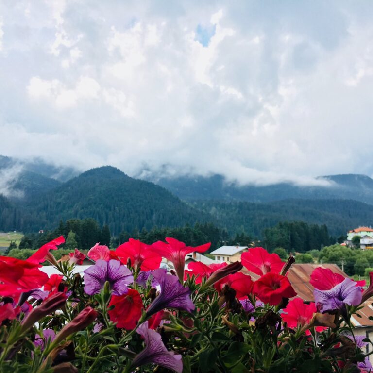 Свежест в планината