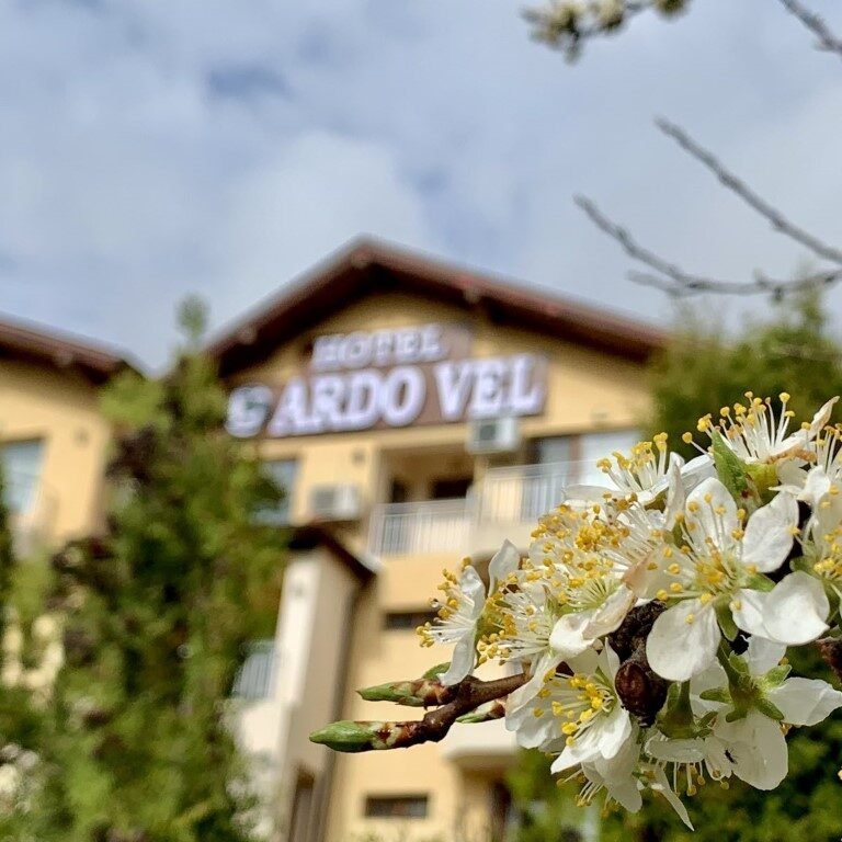 Велинград пролет